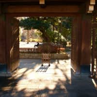 Special treatment: Togoshi Park\'s entrance is marked by a Japanese-style gate and hand-knotted bamboo fences. | KIT NAGAMURA