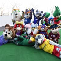 The Super Cup\'s annual mascot meet-and-greet event has become a hotter ticket than the match itself. | DAN ORLOWITZ