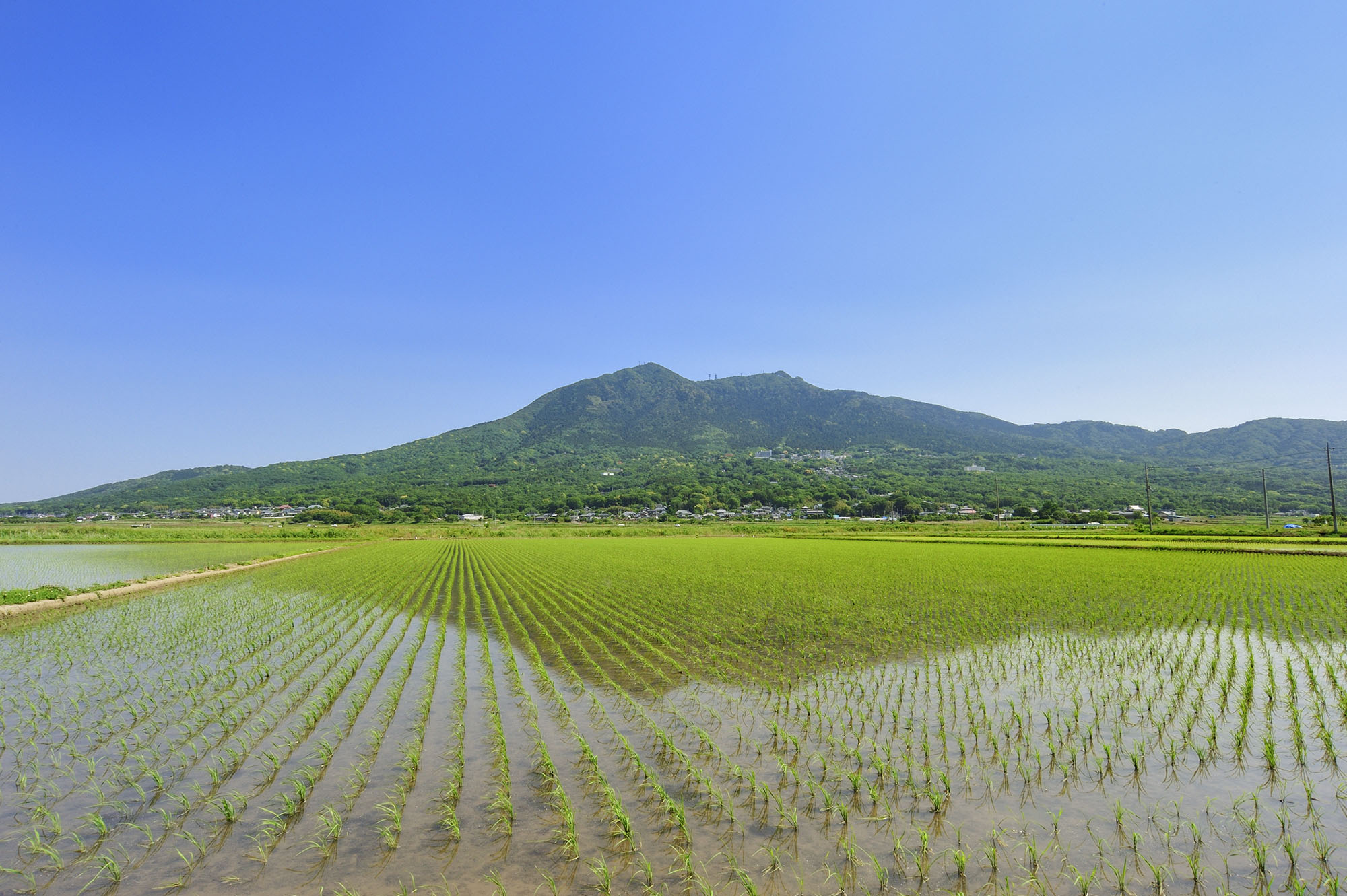 An icon of Ibaraki Prefecture, Mount Tsukuba is covered with greenery in spring. | AFP-JIJI