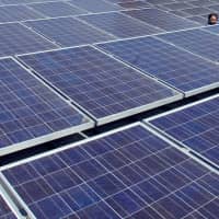 A man views solar panels on a roof at Google headquarters in Mountain View, California, in 2007. | REUTERS