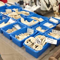 Ivory products are seen on sale at a market in Tokyo in this photo provided by WWF Japan in August 2017. | KYODO