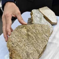 This rock, discovered by a team of researchers from Hiroshima University, is believed to be the oldest known specimen in the country, dating back 2.5 billion years. | KYODO