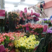 The price tags on the bundles of colorful blooms crowding the storefronts at Ota Shijo are markedly cheaper than what’s seen in commercial stores. | ALEX MARTIN