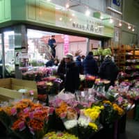 Flowers sit on display at Omori Kaki, an intermediary wholesaler at Tokyo’s Ota Shijo market. | ALEX MARTIN