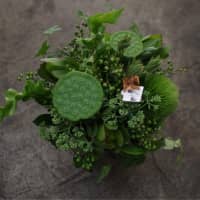 An arrangement of plants by florist Tsuyoshi Hirasawa. | ALEX MARTIN
