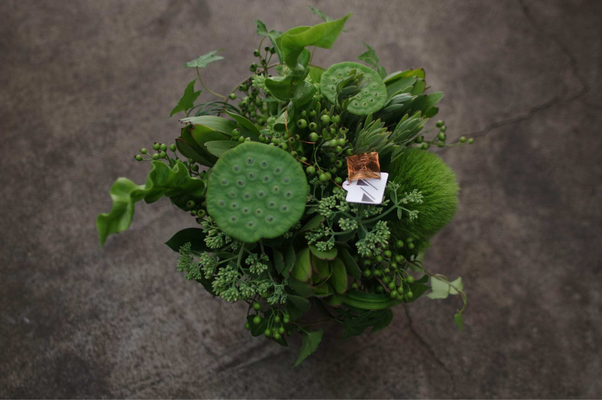 An arrangement of plants by florist Tsuyoshi Hirasawa.