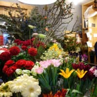 Flowers on display at Tsuyoshi Hirasawa’s shop. Born in Chichibu, Saitama Prefecture, Hirasawa learned the ropes of the trade at a 150-year-old flower shop in Tokyo\'s traditional Yanaka area. | ALEX MARTIN