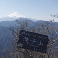 A morning\'s gift: A spring view of Mount Fuji from the top of Mount Takigo in Ymanashi Prefecture. | OSCAR BOYD