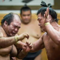 Moriurara (left) at Otake Stable on June 10th 2015 | JOHN GUNNING