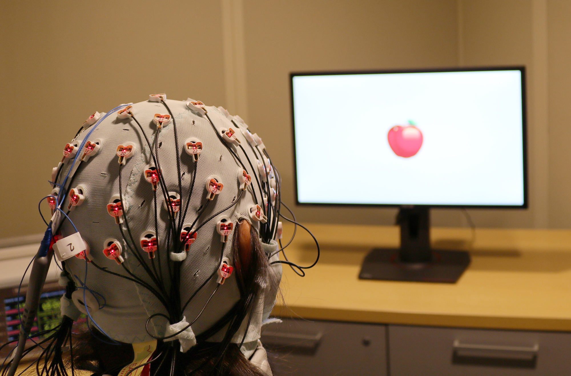 Zap cap: Electrical brain stimulation seen boosting memory function in  older people - The Japan Times