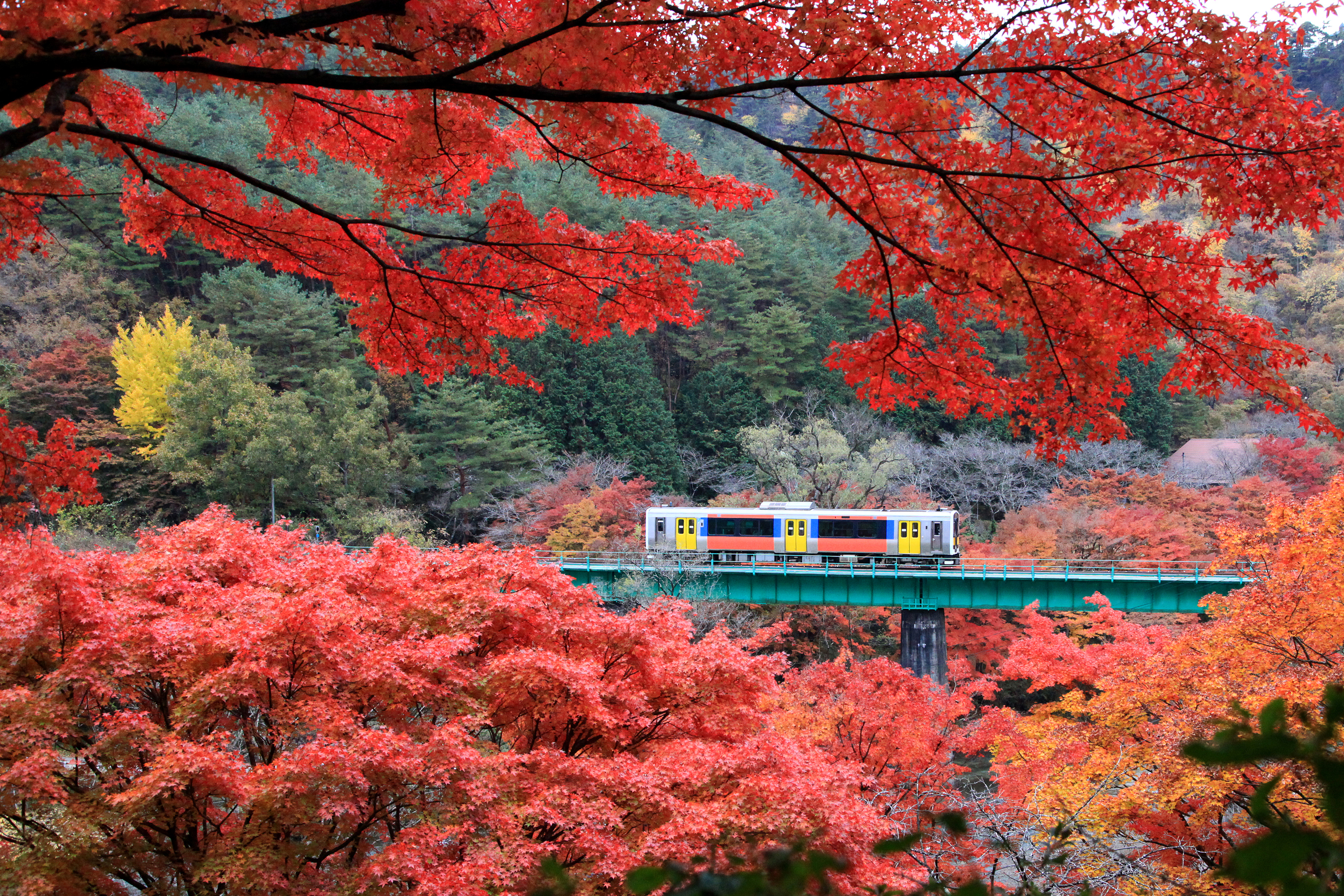 Japan Times