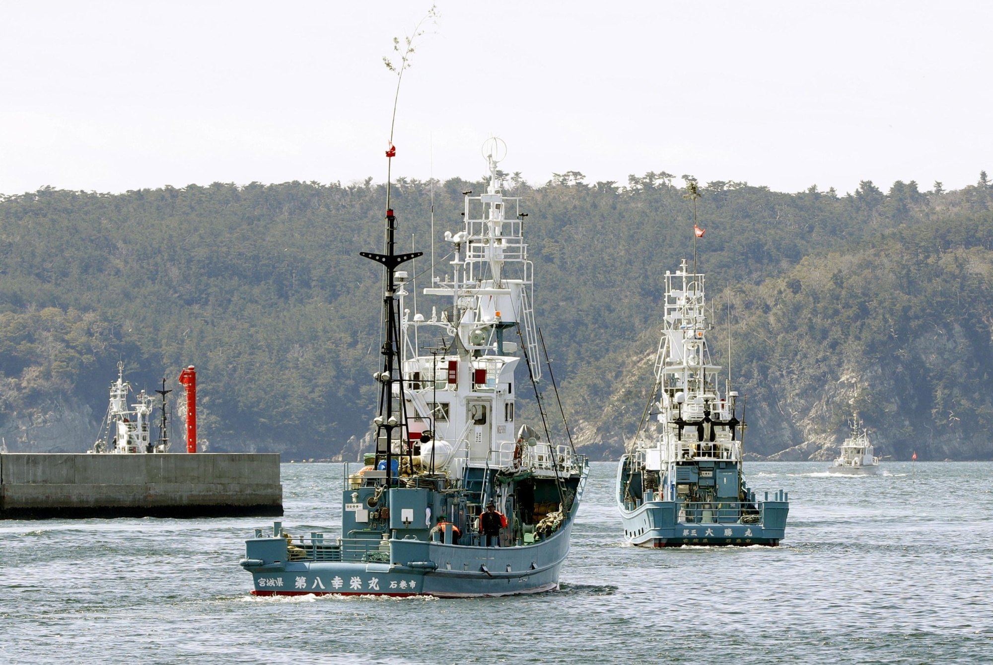 Whaling vessels leave the port of Ayukawa in Ishinomaki, Miyagi Prefecture, on Thursday. | KYODO