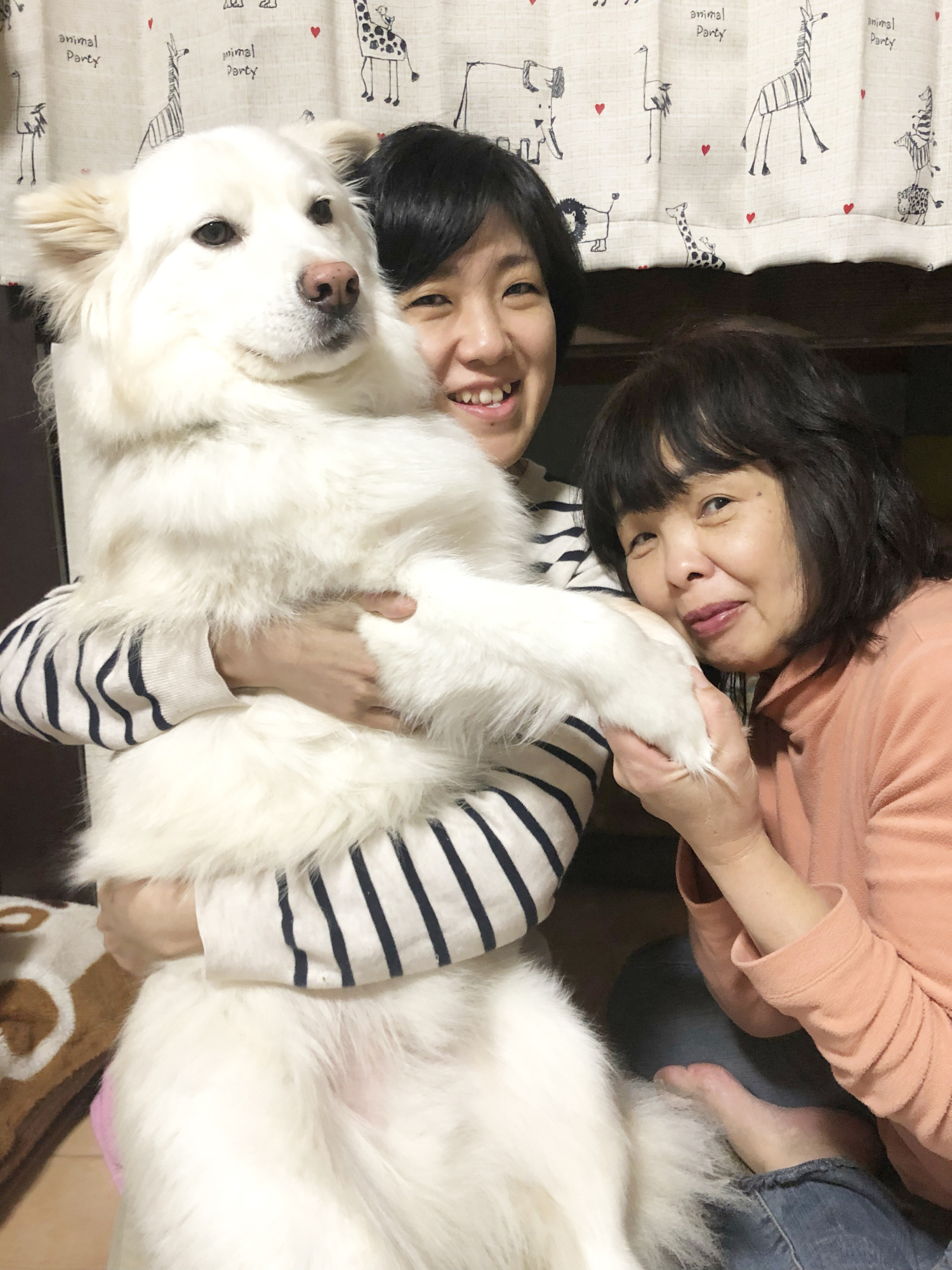 Japan Times
