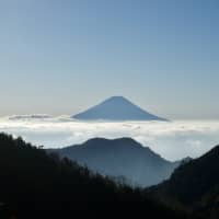 Towering above the cloudline: A view of Mount Fuji from the trail to the summit of Mount Houou in the Southern Alps. | OSCAR BOYD
