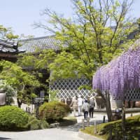 The Northern Culture Museum | AP