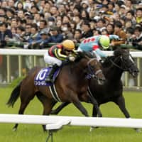 Fierement (10) rushes forward ahead of Glory Vase to win the spring Tenno-sho on Sunday in Kyoto. | KYODO