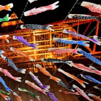 Illuminated koinobori (carp streamers) \"swim\" under the 333-meter-high Tokyo Tower on Thursday night, ahead of Children\'s Day on May 5. The 333 streamers will be on display through May 6. | YOSHIAKI MIURA