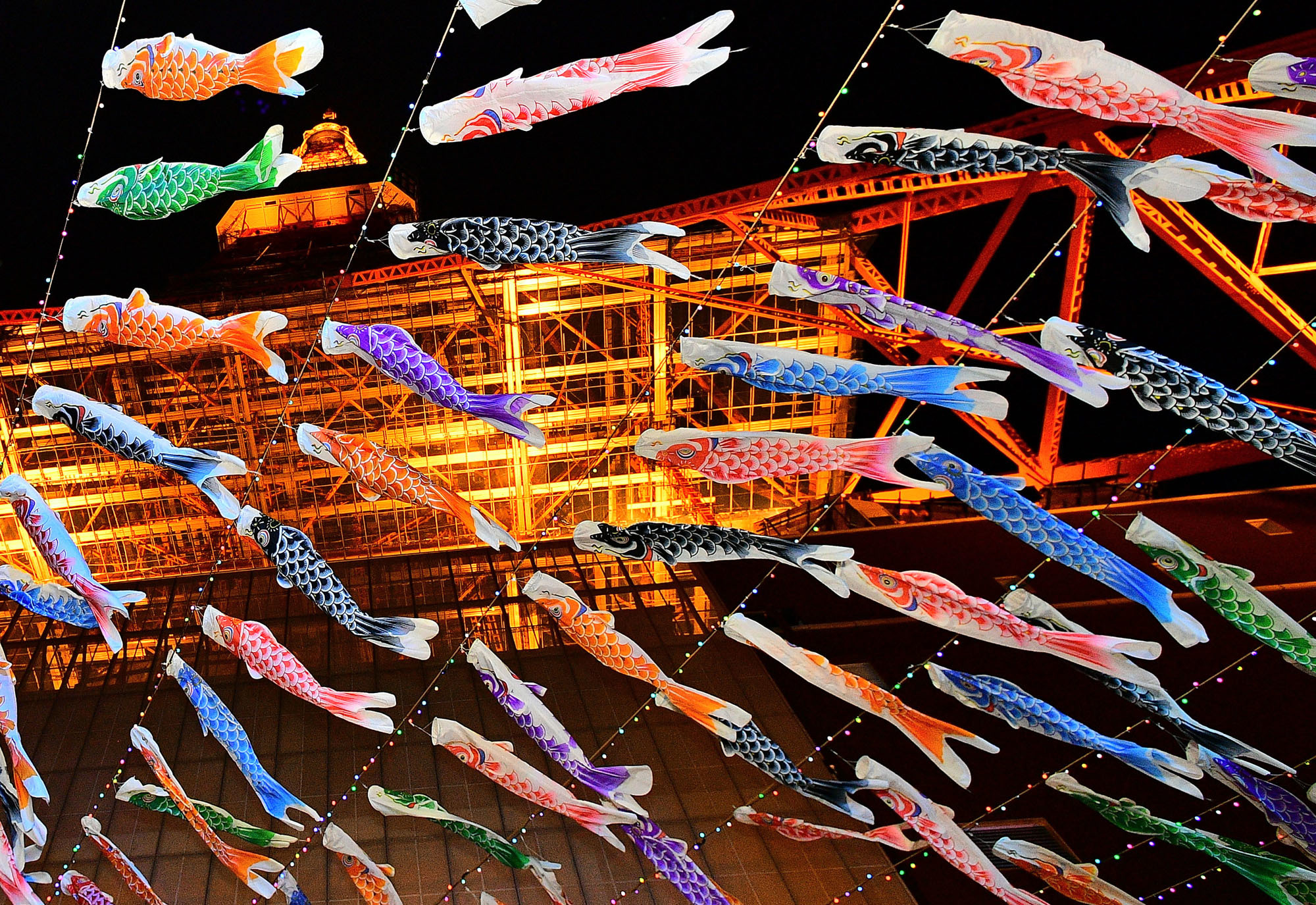 Illuminated koinobori (carp streamers) 'swim' under the 333-meter-high Tokyo Tower on Thursday night, ahead of Children's Day on May 5. The 333 streamers will be on display through May 6. | YOSHIAKI MIURA