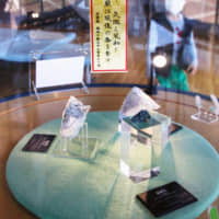 Rengeseki (rengeite), itoigawaseki (itoigawaite) and wadaseki (wadalite), minerals with names beginning with \"re,\" \"i\" and \"wa,\" are seen displayed at the Fossa Magna Museum in Itoigawa, Niigata Prefecture, following the announcement of the new era name, Reiwa. The minerals will be displayed through the end of May. | KYODO