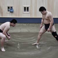 Wrestlers square off during  Naruto Beya\'s morning training session.  | HIROSHI IKEZAWA