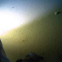 An object described by a spokesperson for the Five Deeps Mariana expedition as \"manmade\" is illuminated at top right by the light of the submarine DSV Limiting Factor on the floor of the Pacific Ocean\'s Mariana Trench, in an undated still image from video released by the Discovery Channel Monday. | ATLANTIC PRODUCTIONS FOR DISCOVERY CHANNEL / HANDOUT / VIA REUTERS