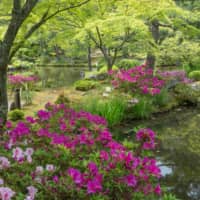 The almost heavenly peripheries 
of Tojiin, a little-visited garden in Kyoto. | STEPHEN MANSFIELD