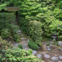 Kyoto\'s Keishunin is an archetypal tea garden. | STEPHEN MANSFIELD