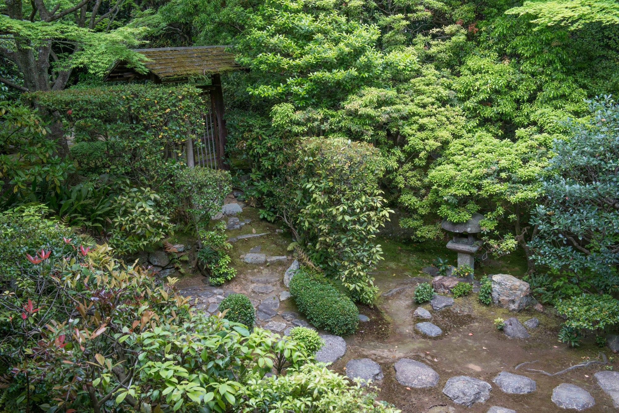 Kyoto's Keishunin is an archetypal tea garden. | STEPHEN MANSFIELD