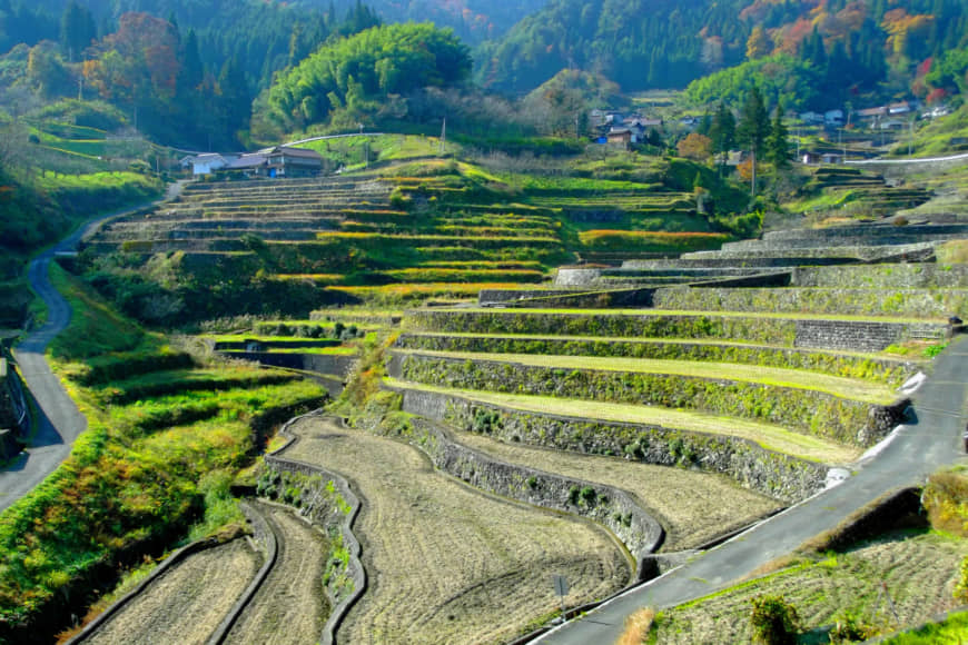 The art of the meal: The Ini Tanada terraces consist of over 320 rice paddies, and lie just an hour's drive from the Sandankyo Gorge. | ANGELES MARIN CABELLO