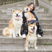 Dogs of a feather: Sumi (left) and her pals, Saku (front) and Sena, pose for a picture with Mika Iwamoto. | KENJI AKUTAGAWA