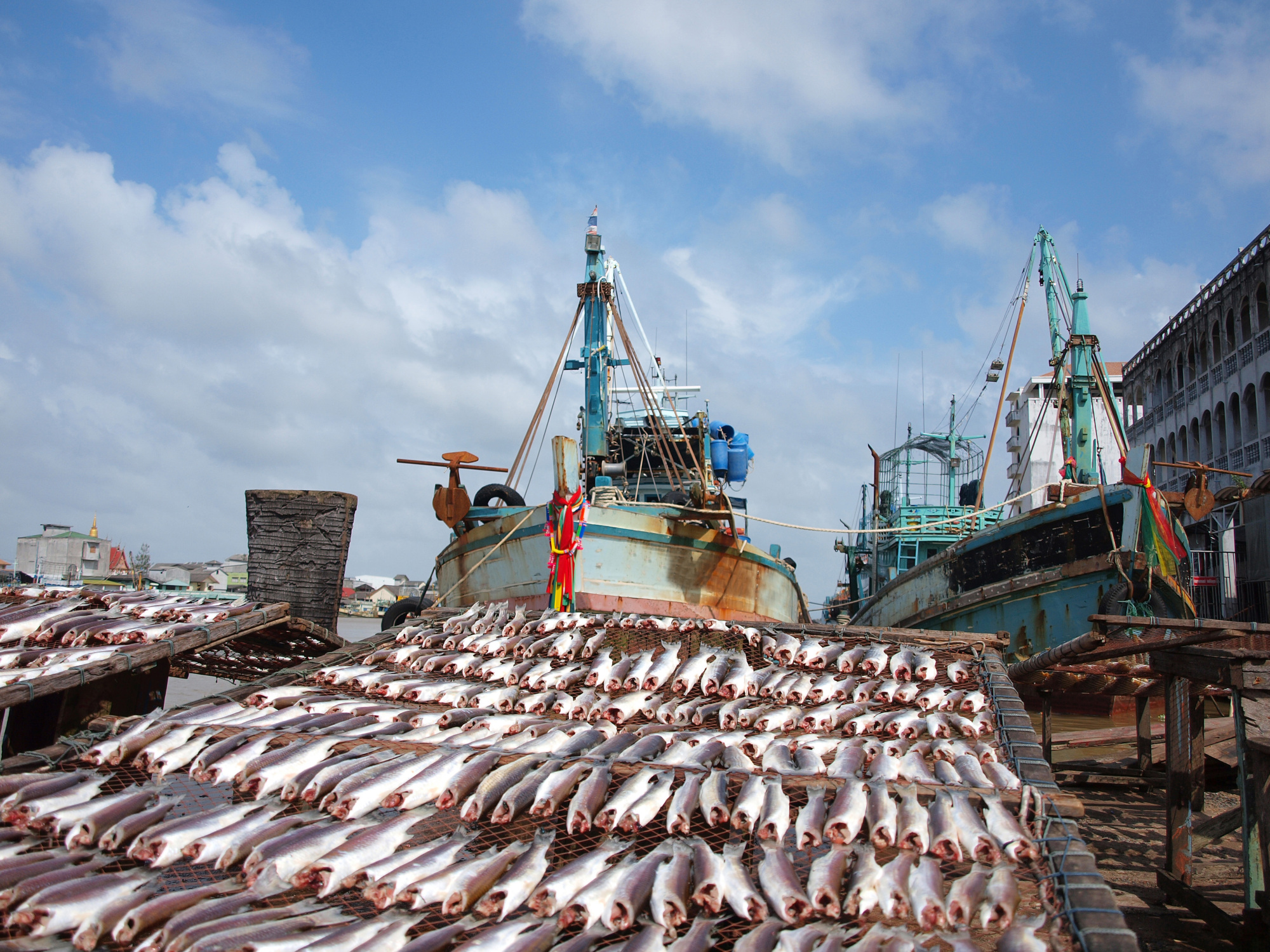 The sustainable seafood movement has grown rapidly in the past 20 years, but its work remains far from done. | GETTY IMAGES