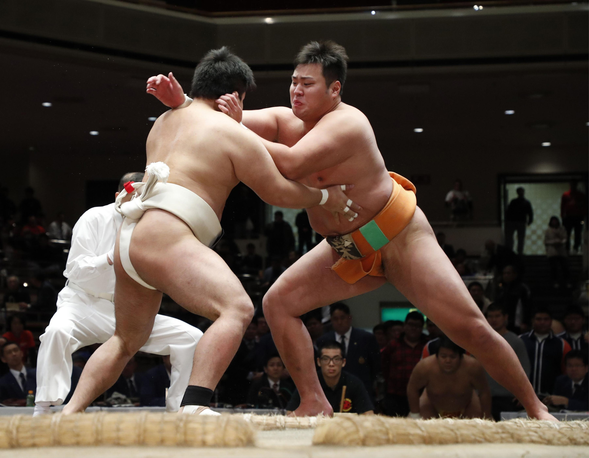 Sumo 101 Amateur sumo