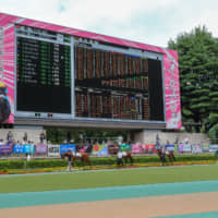 Thoroughbreds walk around the paddock before the seventh race of the day on Sunday at Tokyo Racecourse. Fans can watch horses at a close distance. | KUNIHITO GOTO