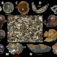 Examples of the range of nuclear fall-out particles collected from beaches on Motoujima Peninsula, near Hiroshima. | MARIO WANNIER