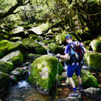Babbling brook: The Shiratani Unsuikyo trail meanders through a landscape of ancient cedar forests that provided inspiration for Studio Ghibli\'s \"Princess Mononoke.\" | OSCAR BOYD
