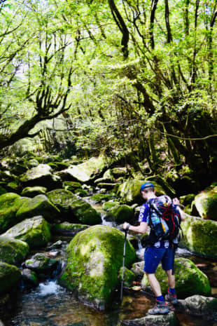 Babbling brook: The Shiratani Unsuikyo trail meanders through a landscape of ancient cedar forests that provided inspiration for Studio Ghibli's 'Princess Mononoke.' | OSCAR BOYD