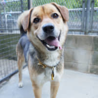 One giant leap: Titus hopes to find a good place to jump. | MACHIKO NAKANO