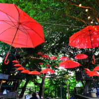 Umbrellas hang in the air at Tsubaki-Mori Komuna, a community space in the city of Chiba, last week. To provide something fun during the rainy season, Tsubaki-Mori Komuna, which is located in a small forest, is displaying the installation until July 15. | YOSHIAKI MIURA