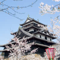 Matsue Castle is recognized as one of Japan\'s national treasures. The park surrounding the castle is also designated as a historic monument and appears regularly in such rankings as \"Japan\'s Top 100 Cherry Blossom Viewing Sites\" and \"Japan\'s Top 100 Historical Parks.\" | SATOKO KAWASAKI