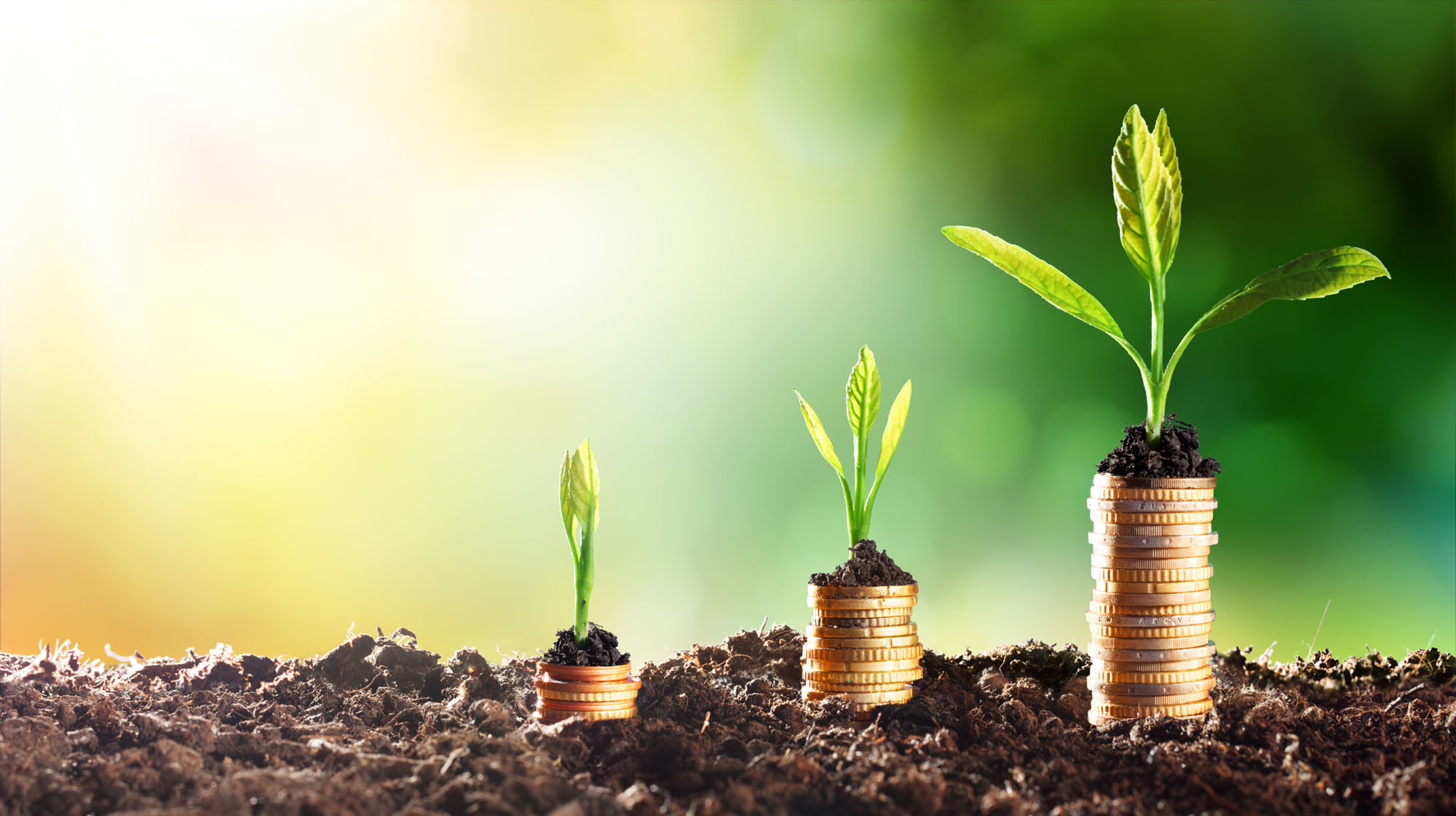 Japan's green finance market is steadily increasing. | GETTY IMAGES