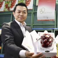 An official from a ryokan chain shows off a record-setting bunch of Ruby Roman grapes Tuesday in Kanazawa, Ishikawa Prefecture. | KYODO