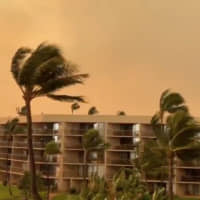 Wind whips trees under a smoky red sky on Maui on Thursday. | GEORGIA C. KRONENBERG / VIA REUTERS