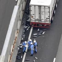 Police officers examine bonito fish that fell from a truck Thursday, which caused a six-kilometer traffic jam on the Hanwa Expressway in Sakai, Osaka Prefecture. | KYODO