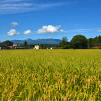 According to a census report released earlier this month, there were 14,047 foreign nationals living in Fukushima Prefecture as of the beginning of this year. | GETTY IMAGES