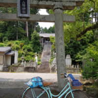 Your chariot awaits: Amy Chavez\'s recently acquired powder blue mama-chari bicycle sits at Hachiman Shrine in Tokushima Prefecture. While the site is along the Shikoku Pilgrimage path, it isn\'t one of the spots on the pilgrimage. | AMY CHAVEZ