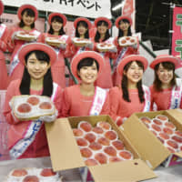 Campaign girls display Fukushima Prefecture-grown peaches during an event held in the city of Fukushima on Friday. Growers have begun shipping the local specialty product to shops and markets. | KYODO