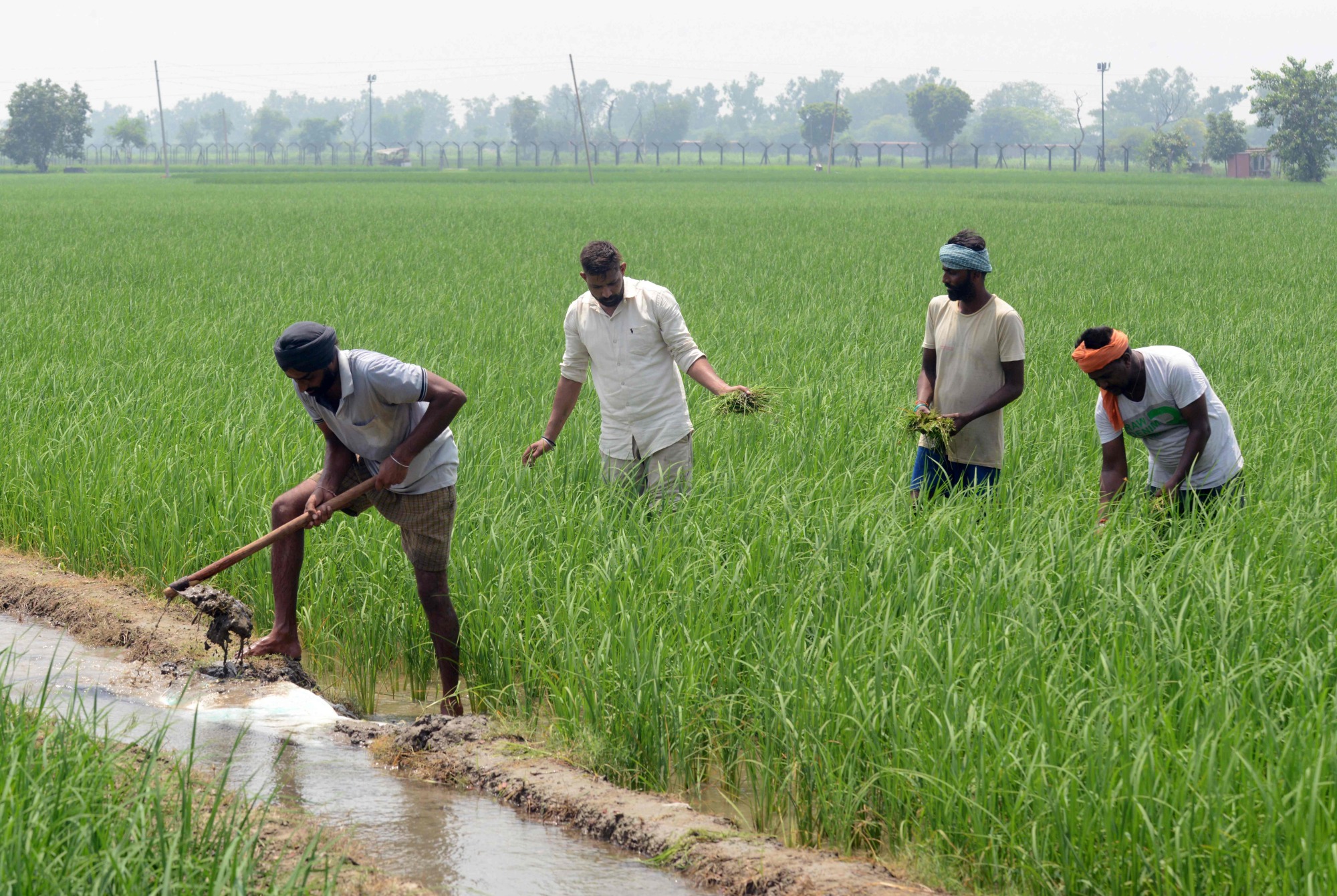 Alternatives to Crop-burning in Indian Agriculture