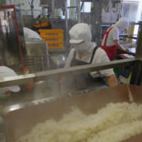 Omei Bakery staff cook rice for schools in the city of Hiroshima. | CHUNICHI SHIMBUN