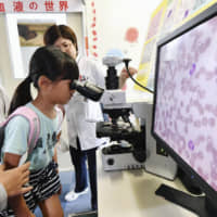 A visitor looks into a microscope to observe human blood cells at the Radiation Effects Research Foundation in the city of Hiroshima on Monday, ahead of the anniversary on Tuesday of the atomic bombing of the city. | KYODO
