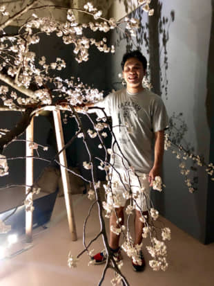 In Bloom: Bontaro Dokuyama with his 'Synchronized Cherry Blossom' | JENNIFER PASTORE